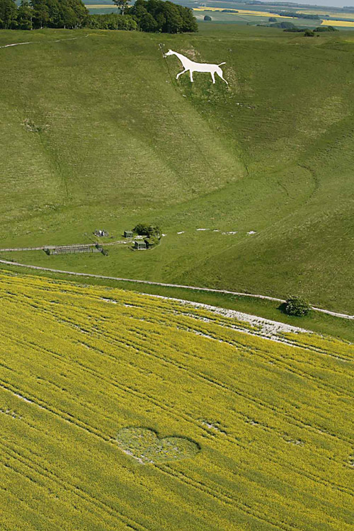 Cherhill White Horse, Wiltshire crop circle, aerial photo 6