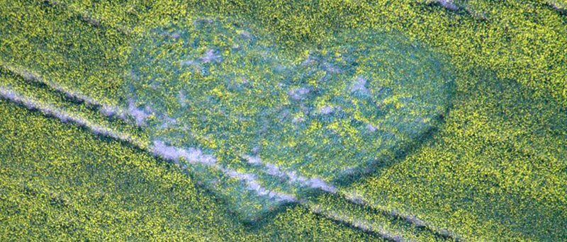 Cherhill White Horse, Wiltshire crop circle, aerial photo 2