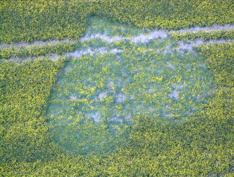 Cherhill White Horse, Wiltshire crop circle, aerial photo 3