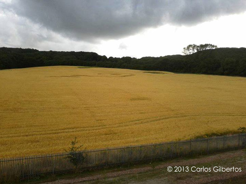 LimeKiln Wood, Shropshire crop circle, aerial photo 7