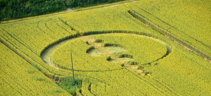 Finale Emilia (Modena), Italy crop circle, aerial photo 2