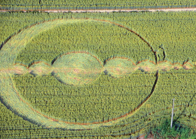 Finale Emilia (Modena), Italy crop circle, aerial photo 4
