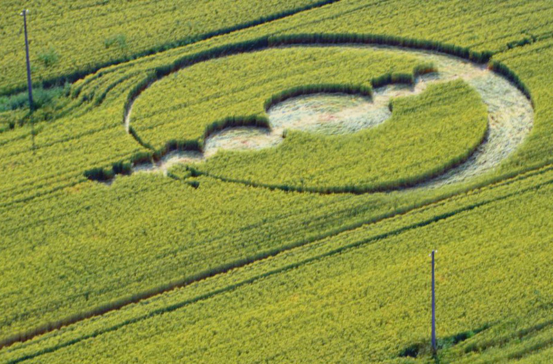 Finale Emilia (Modena), Italy crop circle, aerial photo 5