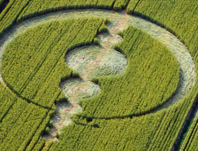 Finale Emilia (Modena), Italy crop circle, aerial photo 6