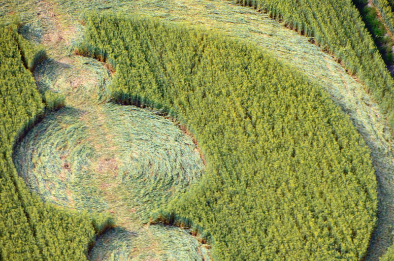 Finale Emilia (Modena), Italy crop circle, aerial photo 7