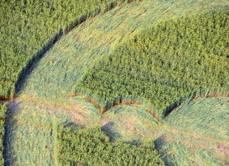 Finale Emilia (Modena), Italy crop circle, aerial photo 8