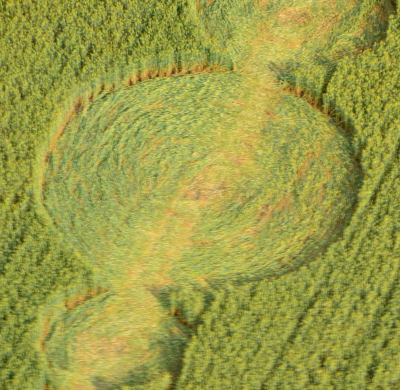 Finale Emilia (Modena), Italy crop circle, aerial photo 9