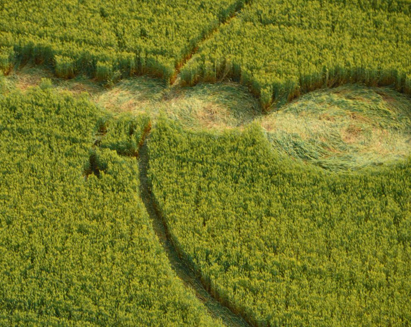 Finale Emilia (Modena), Italy crop circle, aerial photo 10