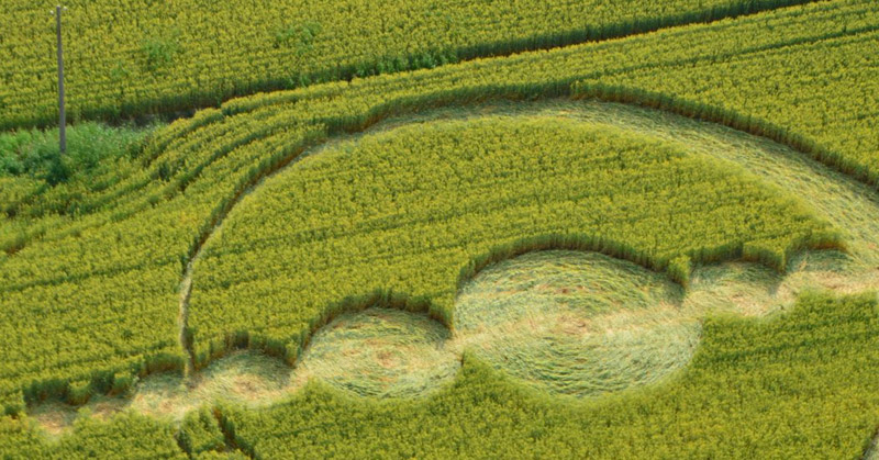 Finale Emilia (Modena), Italy crop circle, aerial photo 11