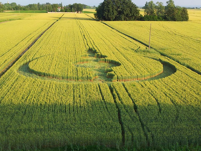 Finale Emilia (Modena), Italy crop circle, aerial photo 25