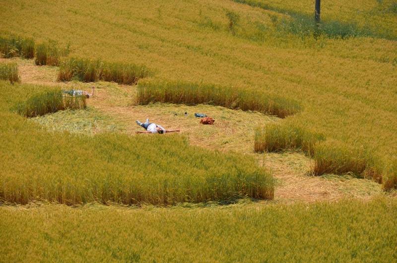 Finale Emilia (Modena), Italy crop circle, aerial photo 47