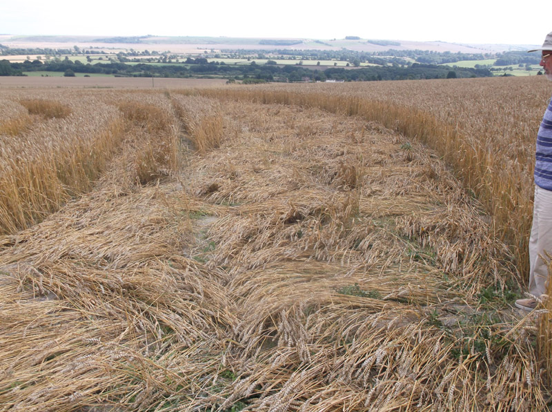 Etchilhampton Hill, Wiltshire crop circle, aerial photo 73