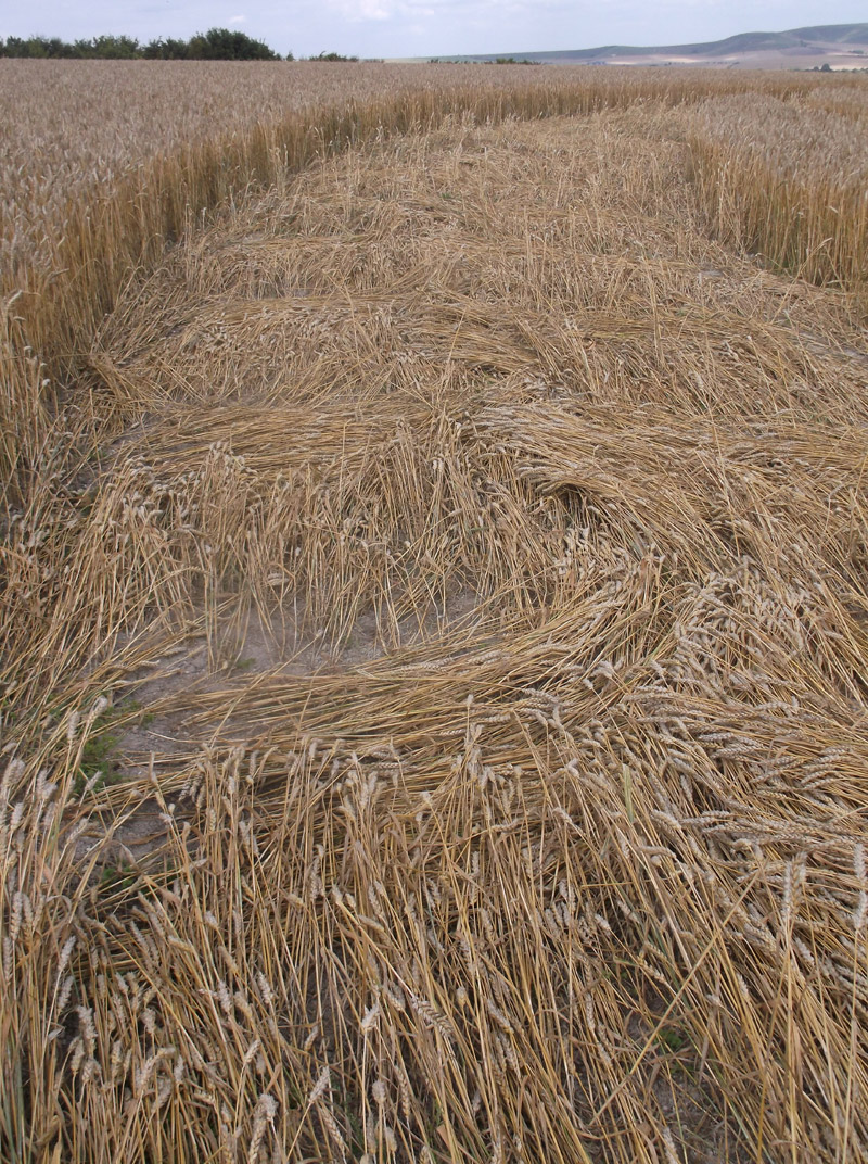 Etchilhampton Hill, Wiltshire crop circle, aerial photo 75