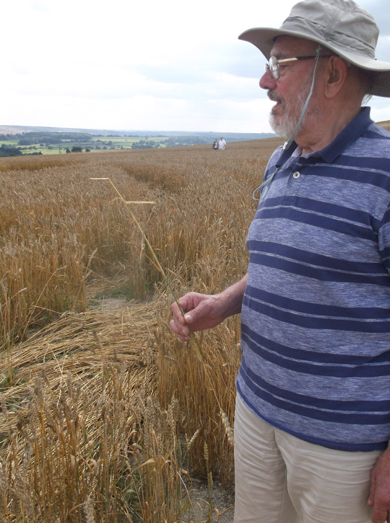 Etchilhampton Hill, Wiltshire crop circle, aerial photo 77