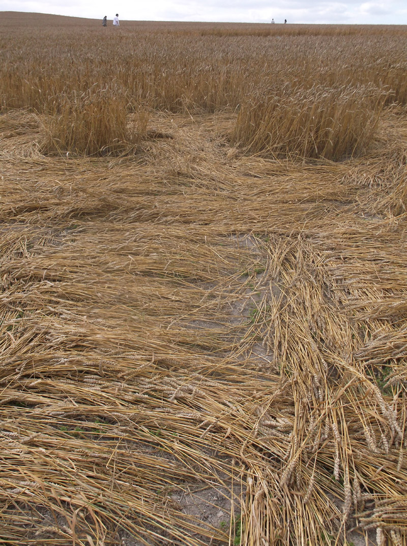 Etchilhampton Hill, Wiltshire crop circle, aerial photo 70