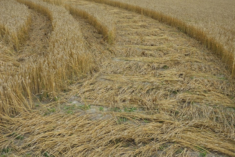 Etchilhampton Hill, Wiltshire crop circle, aerial photo 51