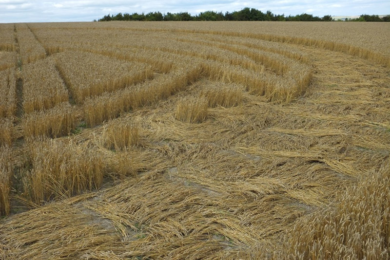 Etchilhampton Hill, Wiltshire crop circle, aerial photo 43