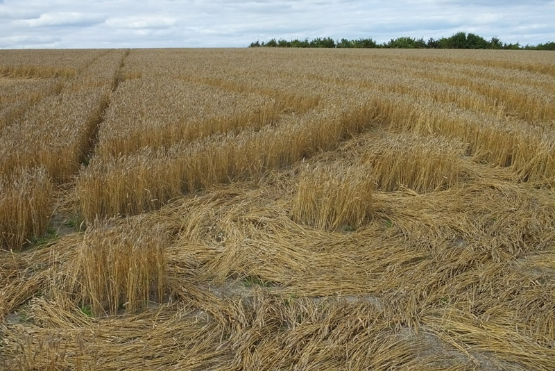Etchilhampton Hill, Wiltshire crop circle, aerial photo 45