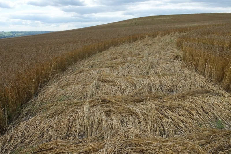 Etchilhampton Hill, Wiltshire crop circle, aerial photo 47