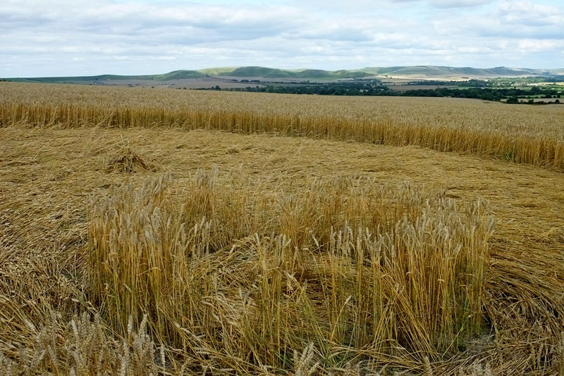 Etchilhampton Hill, Wiltshire crop circle, aerial photo 48