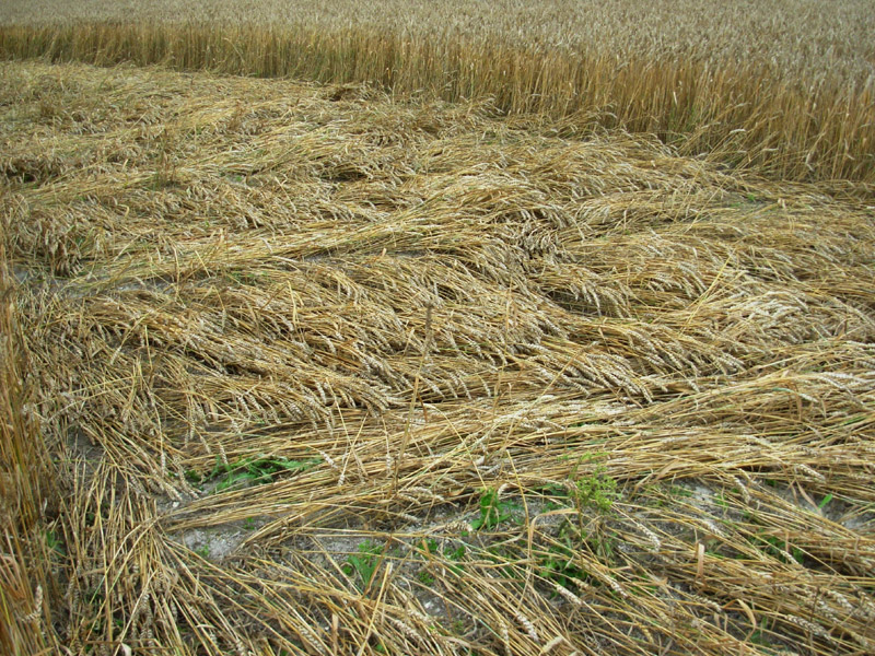 Etchilhampton Hill, Wiltshire crop circle, aerial photo 56
