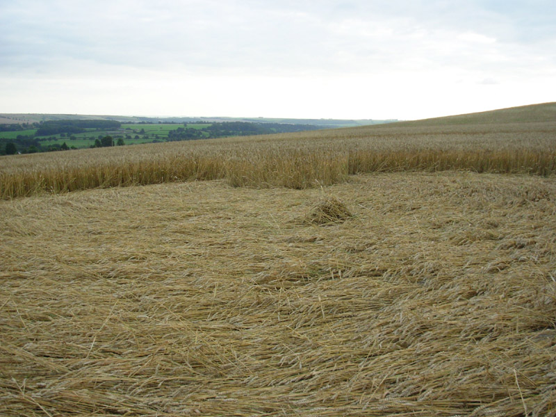 Etchilhampton Hill, Wiltshire crop circle, aerial photo 55