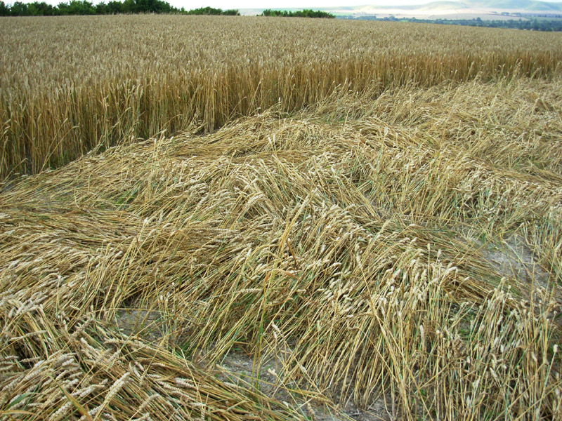 Etchilhampton Hill, Wiltshire crop circle, aerial photo 58