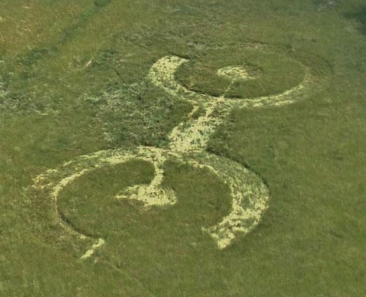 Grass Circle at Gray, crop pattern was, USA crop circle, aerial photo 8