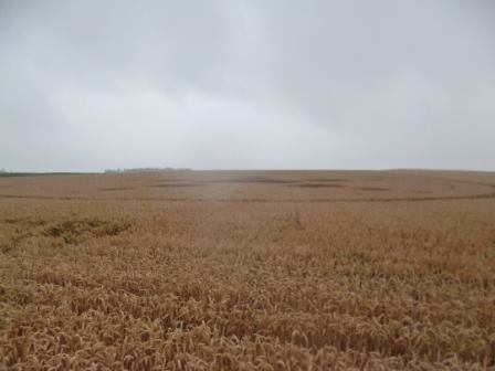 Haunsheim, Germany crop circle, aerial photo 12