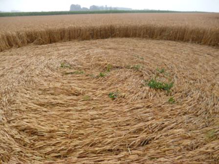 Haunsheim, Germany crop circle, aerial photo 14