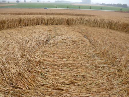Haunsheim, Germany crop circle, aerial photo 15