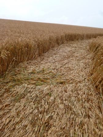 Haunsheim, Germany crop circle, aerial photo 17