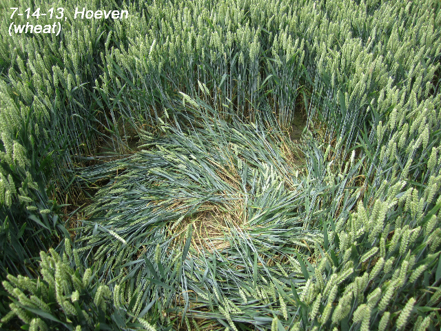Hoeven, Netherlands crop circle, aerial photo 4