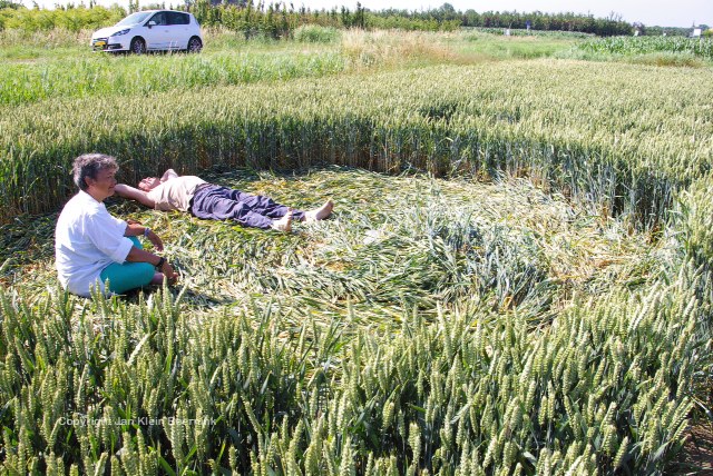 Hoeven, Netherlands crop circle, aerial photo 8