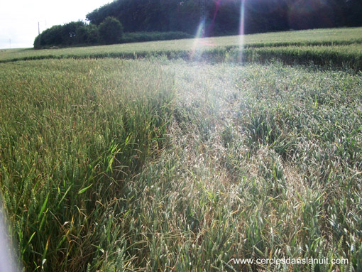 Imling, France crop circle, aerial photo 10