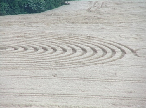 Ipuacu (1), Brazil crop circle, aerial photo 5