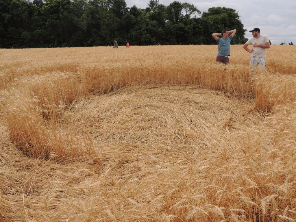 Ipuacu (2), Brazil crop circle, aerial photo 38