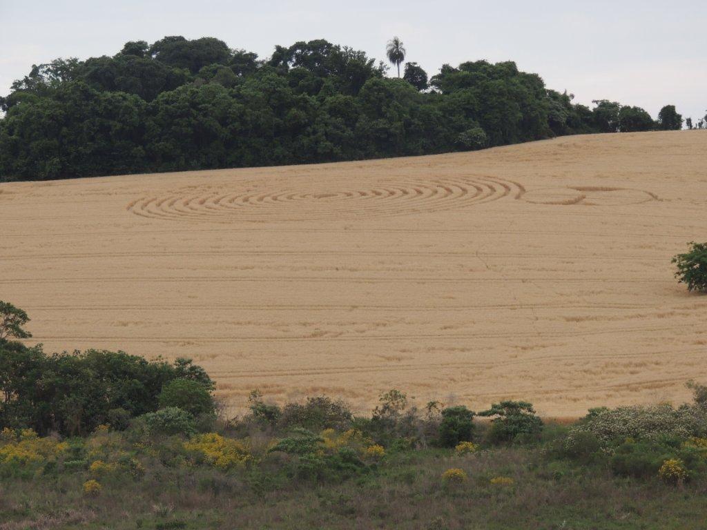 Ipuacu (2), Brazil crop circle, aerial photo 36