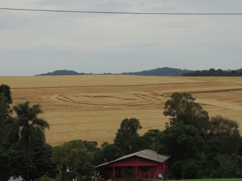 Ipuacu (2), Brazil crop circle, aerial photo 35