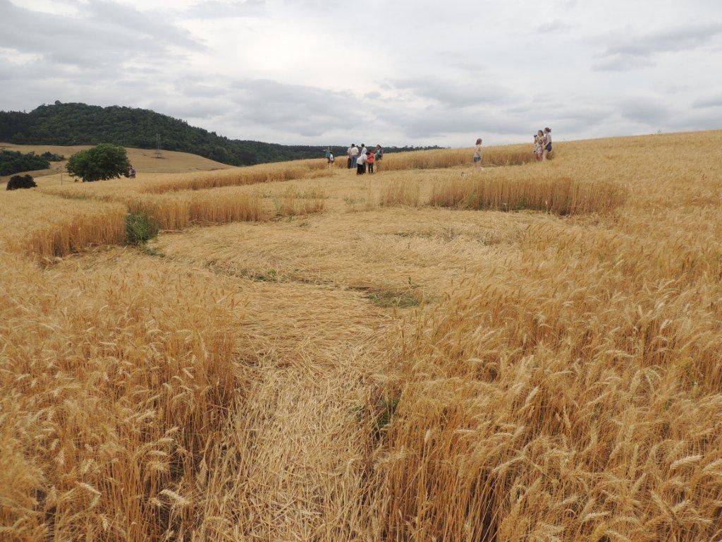 Ipuacu (2), Brazil crop circle, aerial photo 33