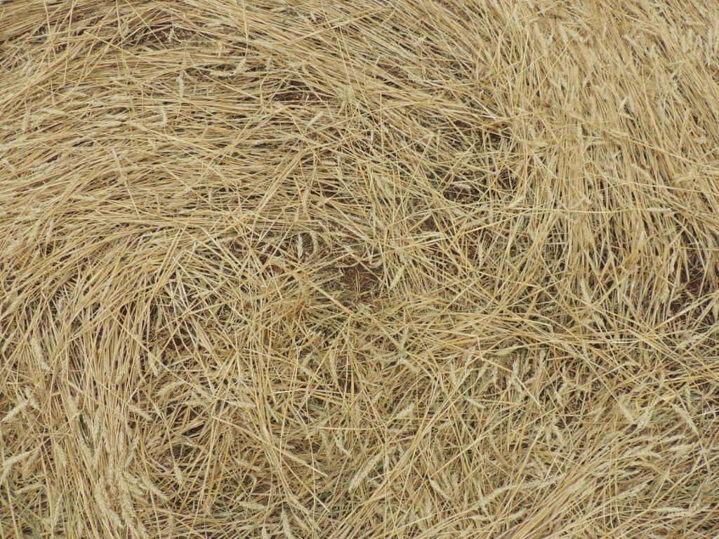Ipuacu (2), Brazil crop circle, aerial photo 32