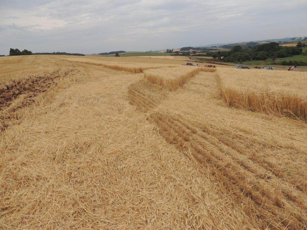 Ipuacu (2), Brazil crop circle, aerial photo 30