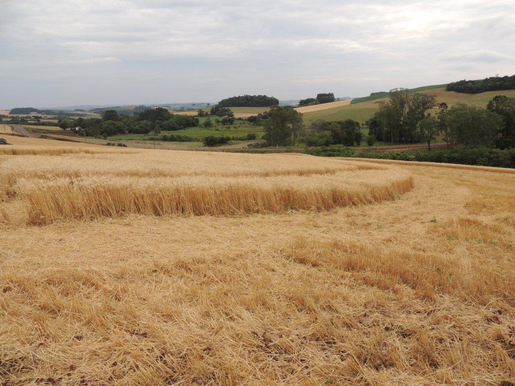 Ipuacu (2), Brazil crop circle, aerial photo 27