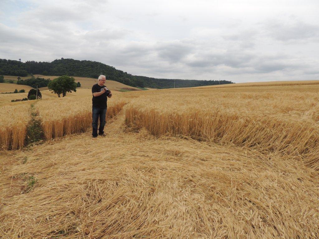 Ipuacu (2), Brazil crop circle, aerial photo 24