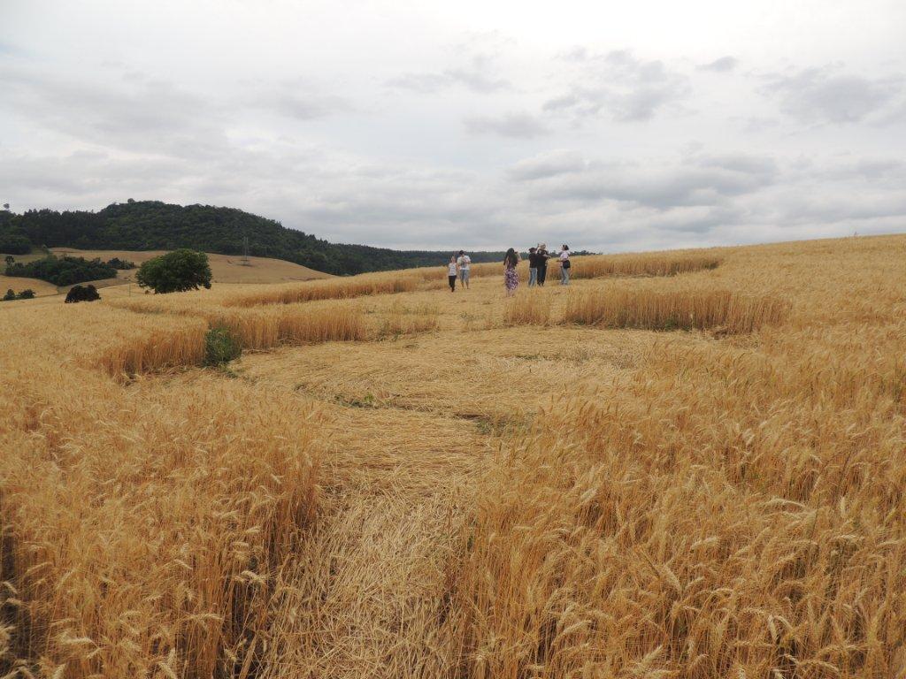 Ipuacu (2), Brazil crop circle, aerial photo 18