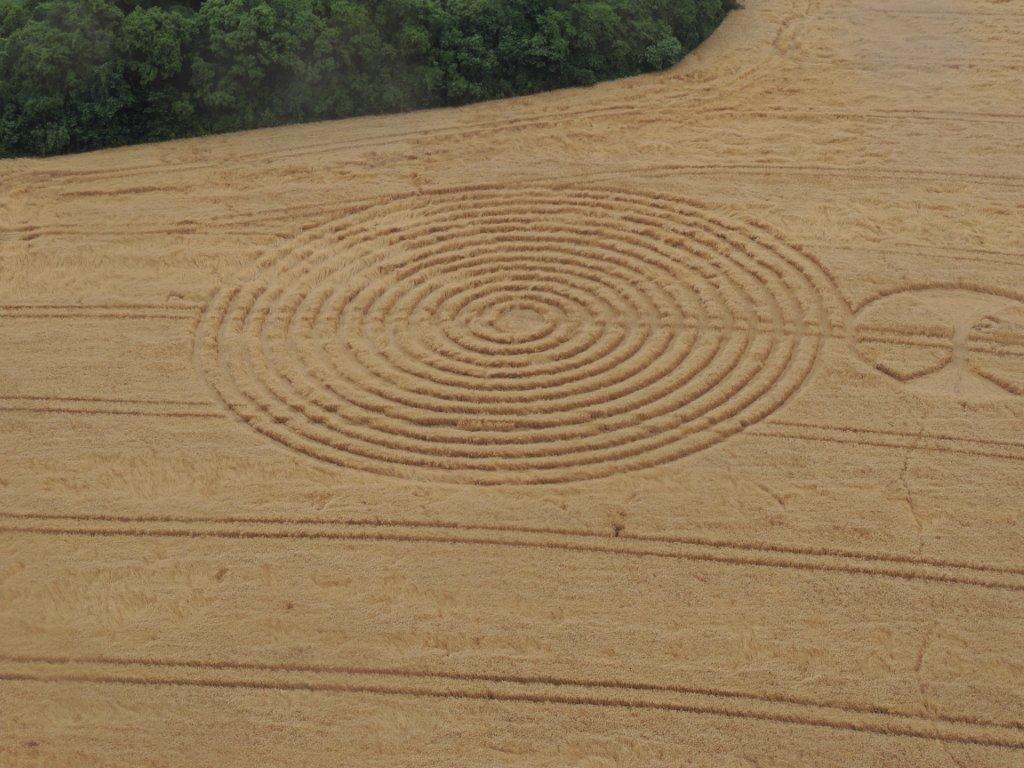 Ipuacu (2), Brazil crop circle, aerial photo 16