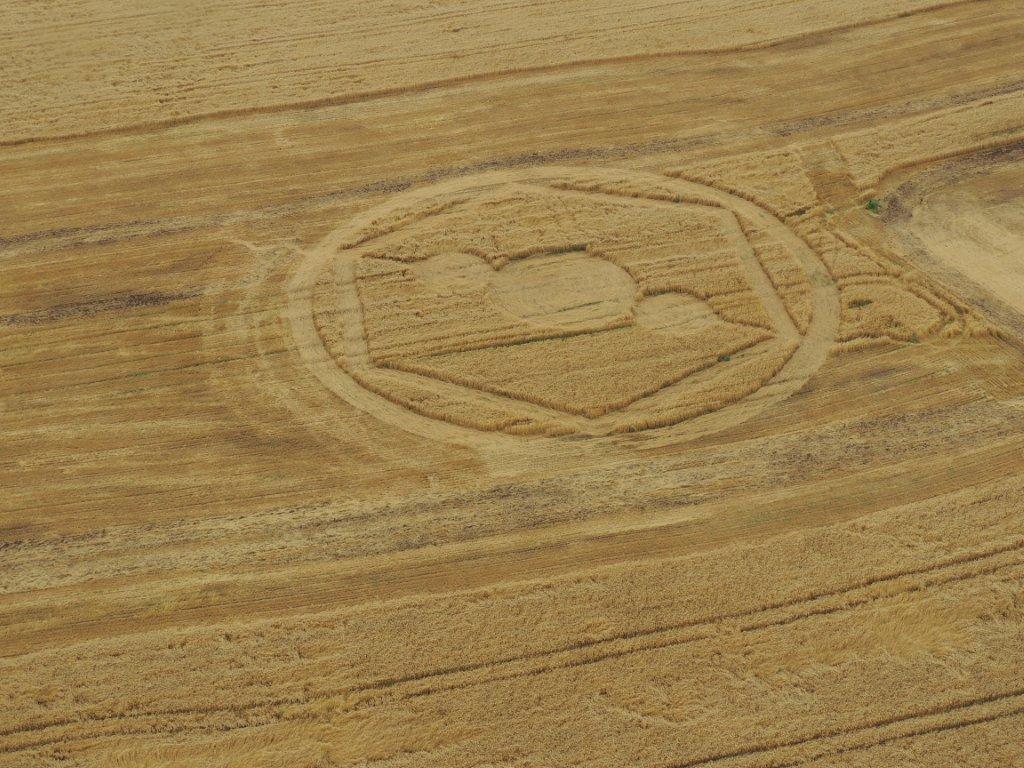 Ipuacu (2), Brazil crop circle, aerial photo 7