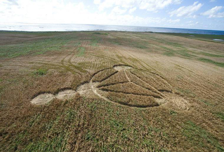 Klepp, Norway crop circle, aerial photo 4