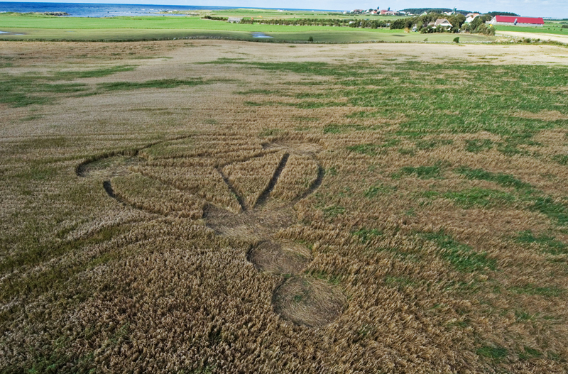 Klepp, Norway crop circle, aerial photo 5