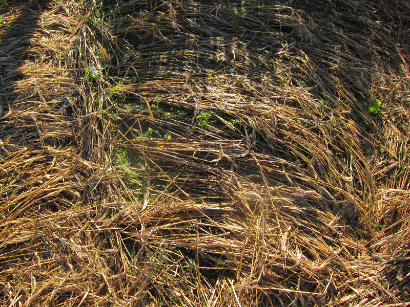 Klepp, Norway crop circle, aerial photo 24